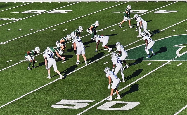 这些宝贵的 这些宝贵的