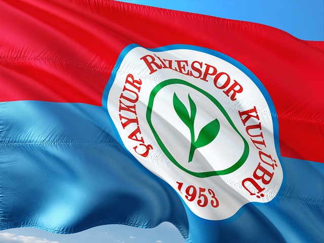 无疑是其中 无疑是其中