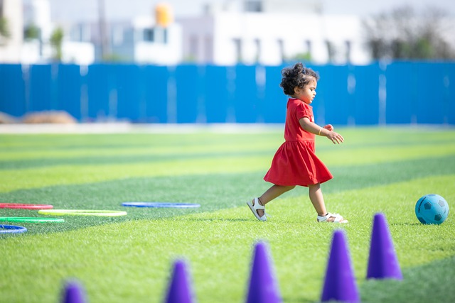 日本的文化 日本的文化