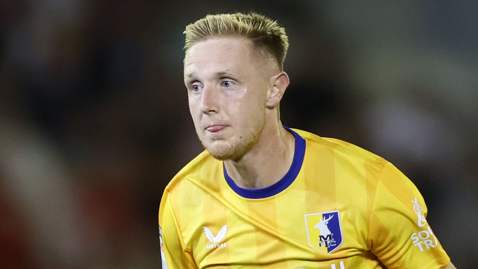 寥寥可數 寥寥可數