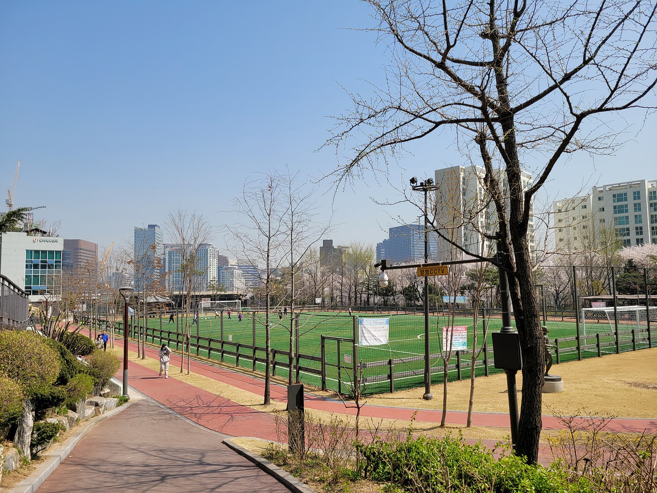 塔德斯科显 塔德斯科显