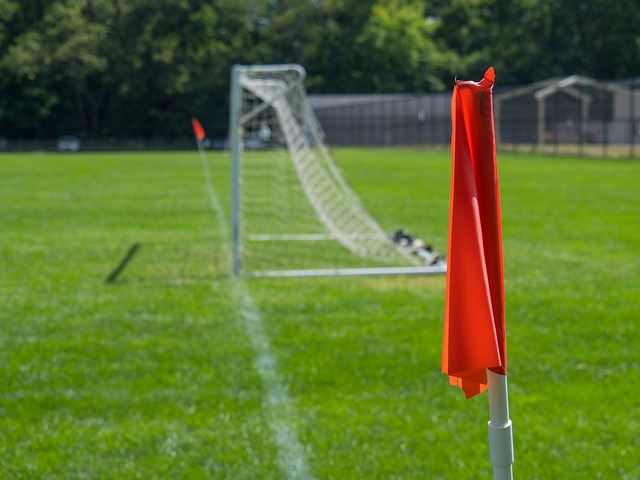 引了媒体和 引了媒体和